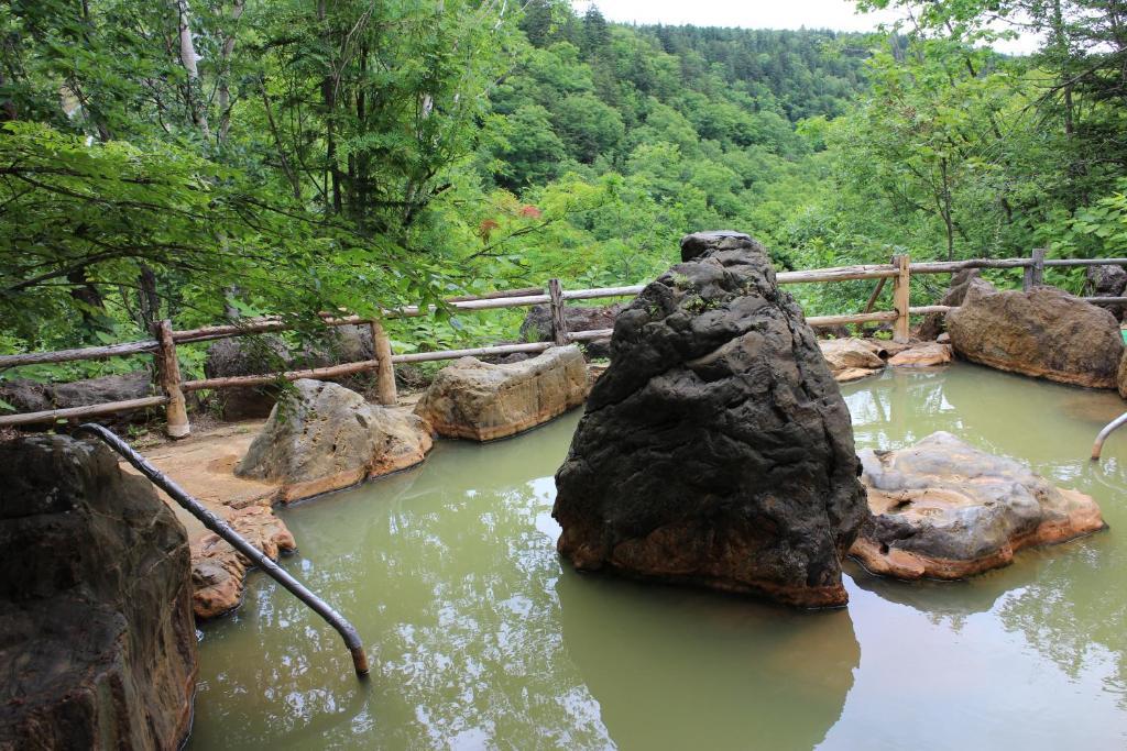 碧の美ゆゆaonobi Yuyu旧湯元白金温泉ホテル Biei Exterior photo